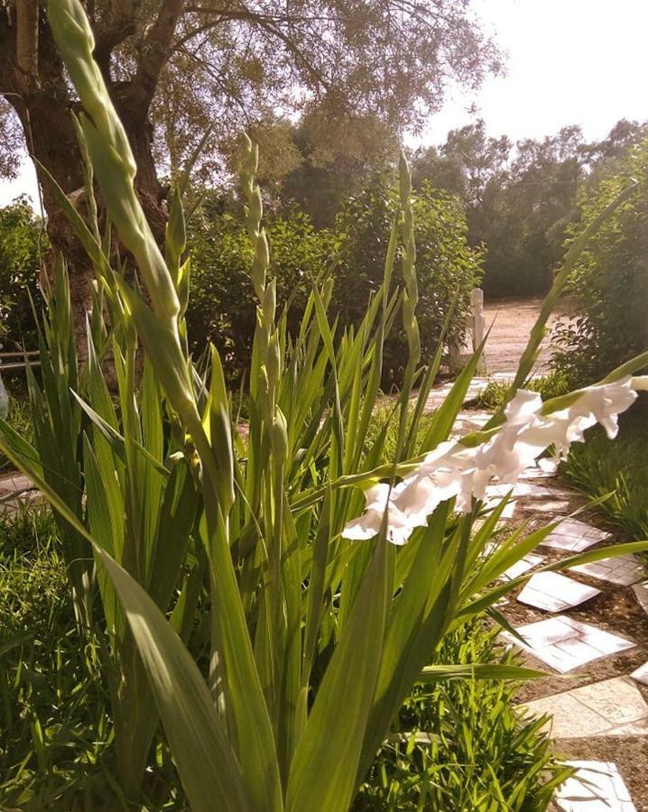 ليغيا Villa Ladina المظهر الخارجي الصورة